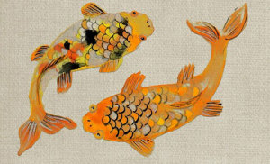 zlate ryby